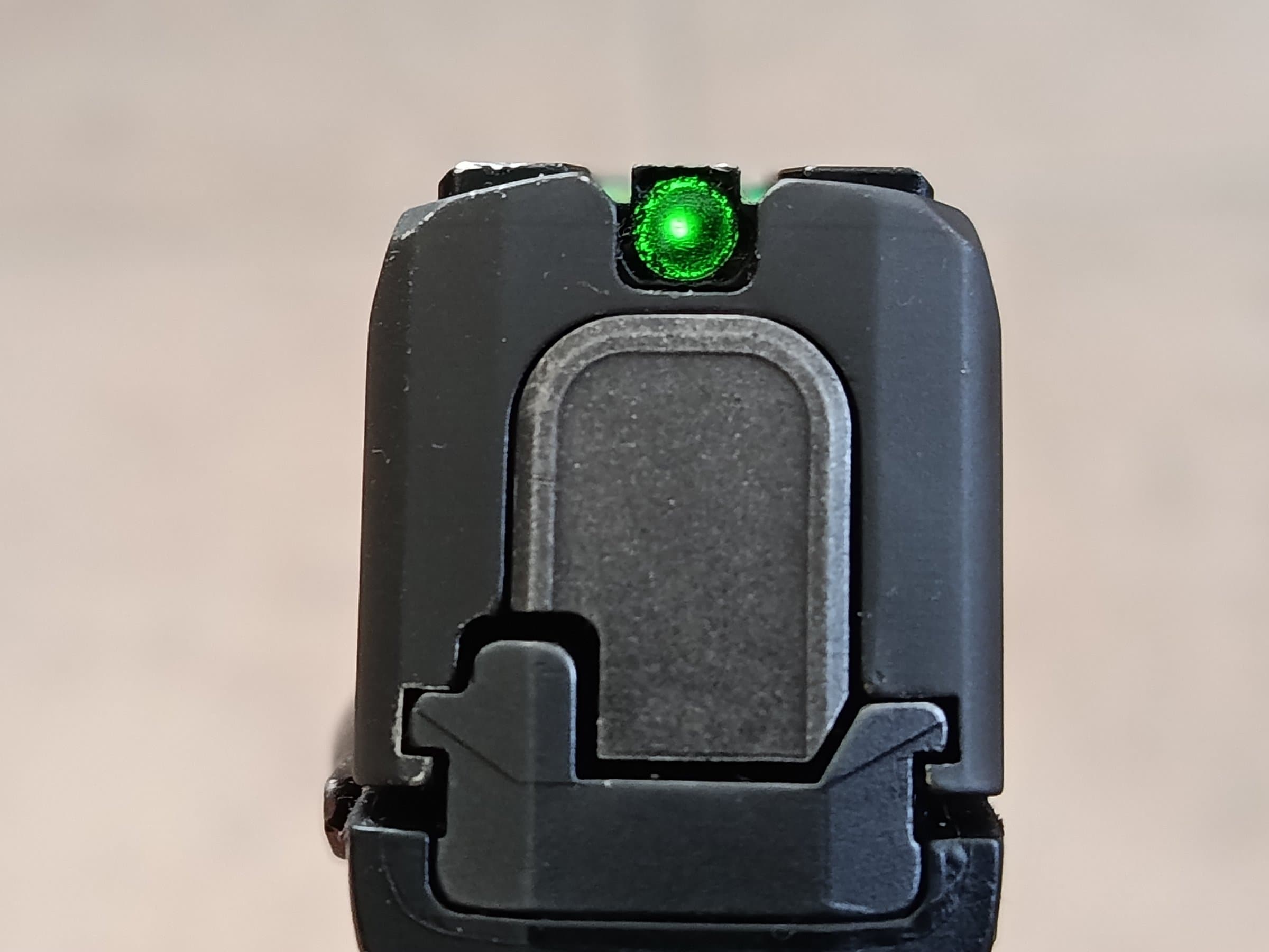 SigSauer P365SAS